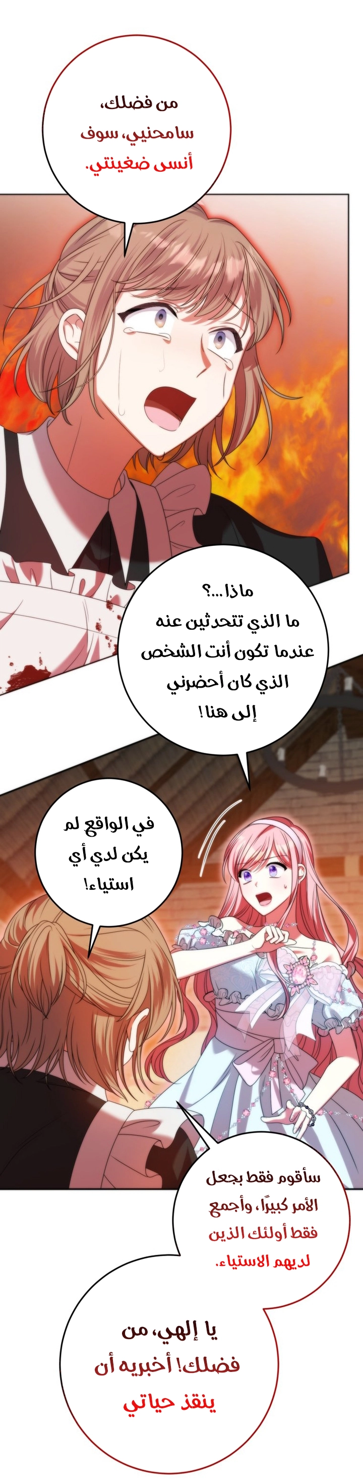 الصفحة 26