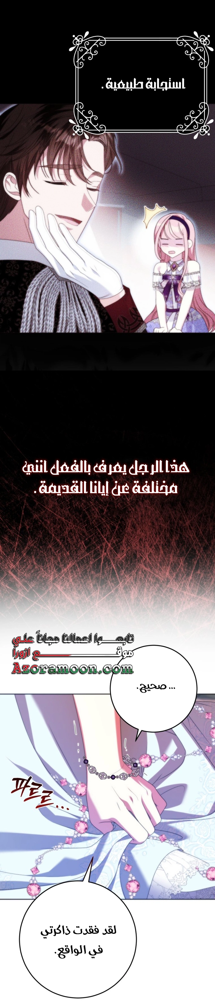 الصفحة 43