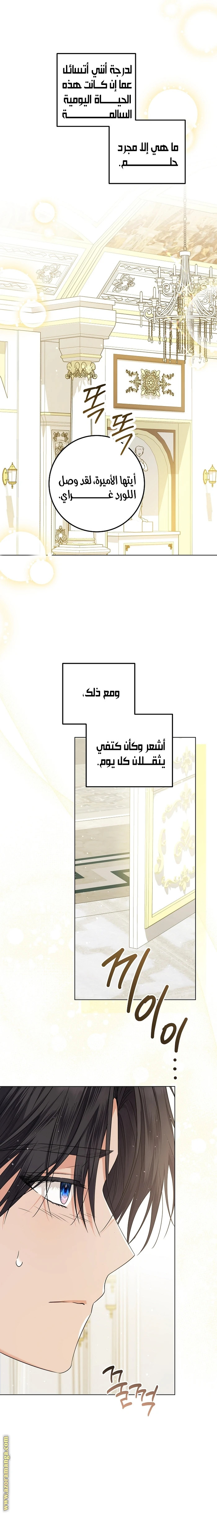 الصفحة 16