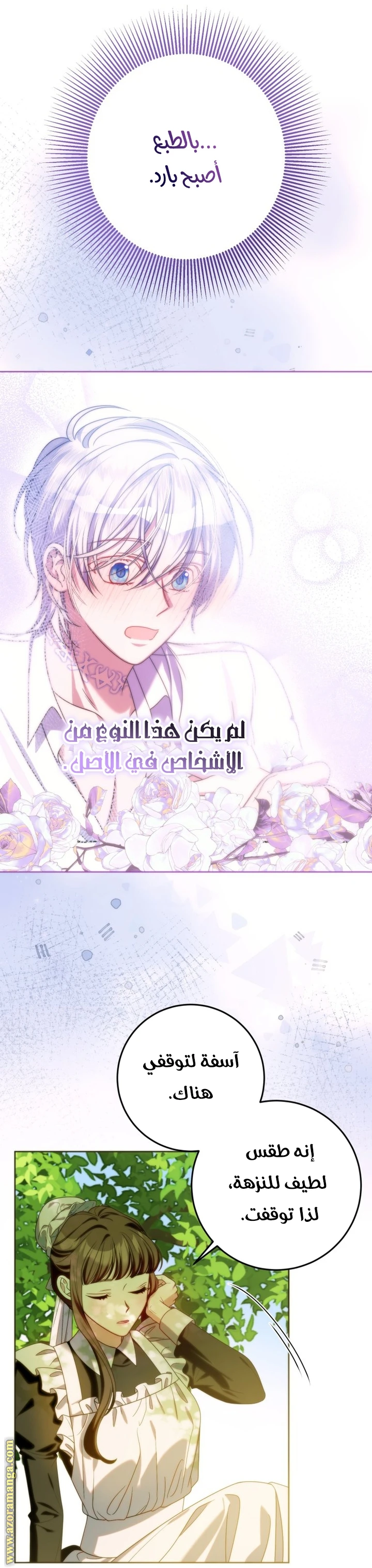 الصفحة 7