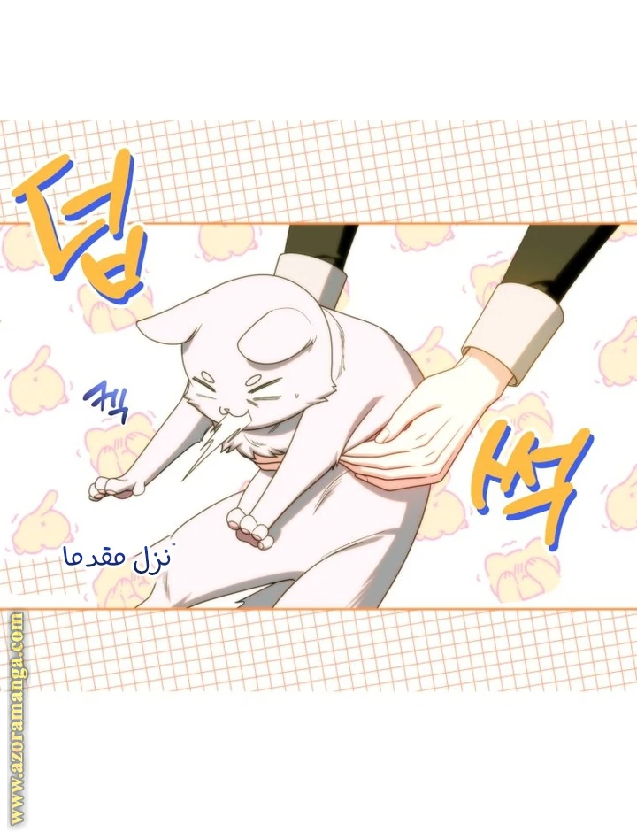 الصفحة 19