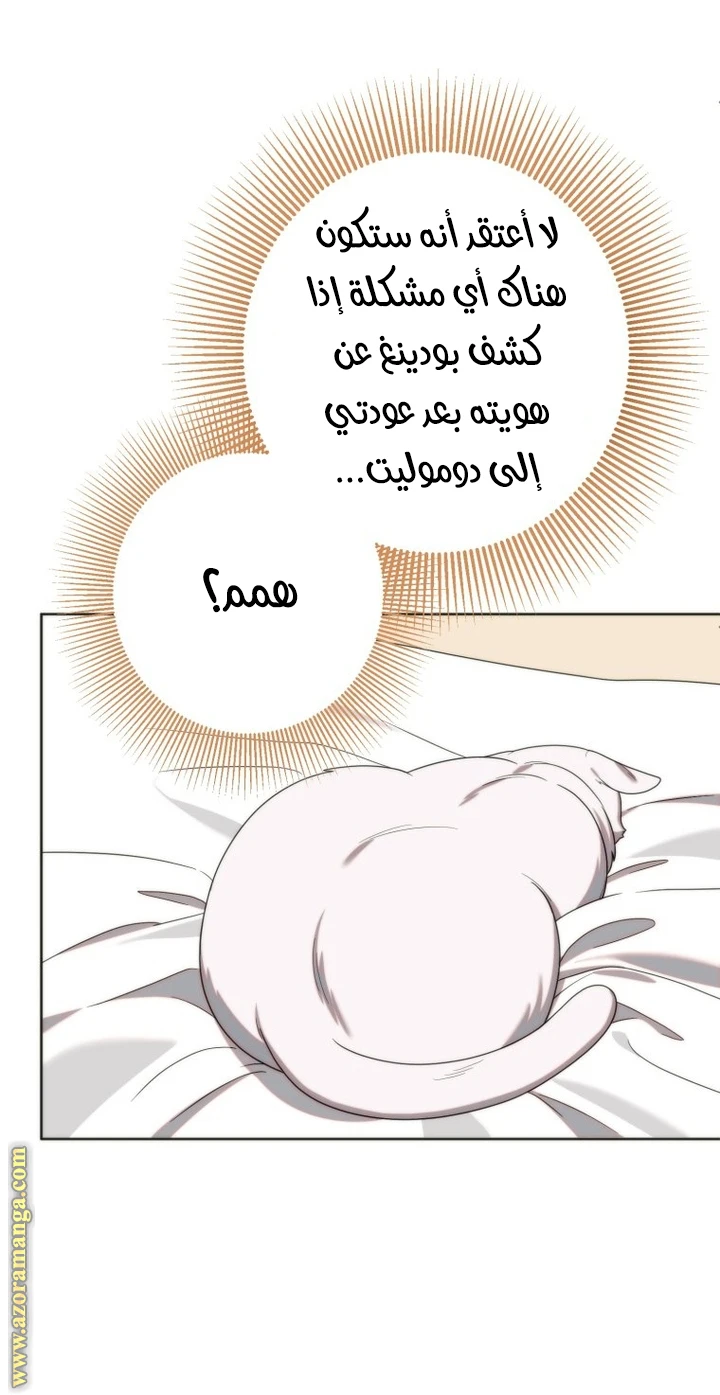 الصفحة 29