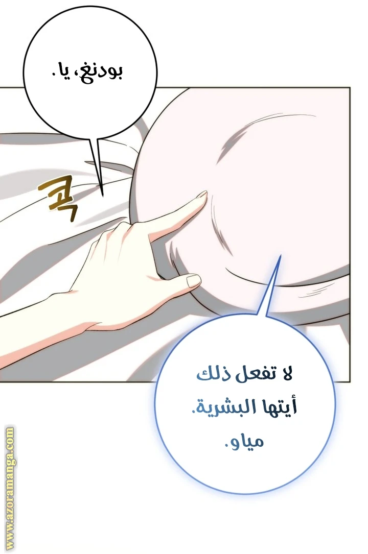 الصفحة 30
