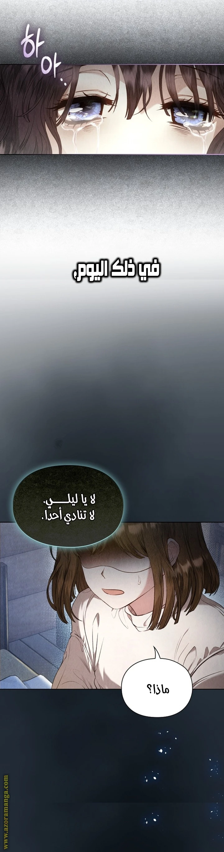 الصفحة 19
