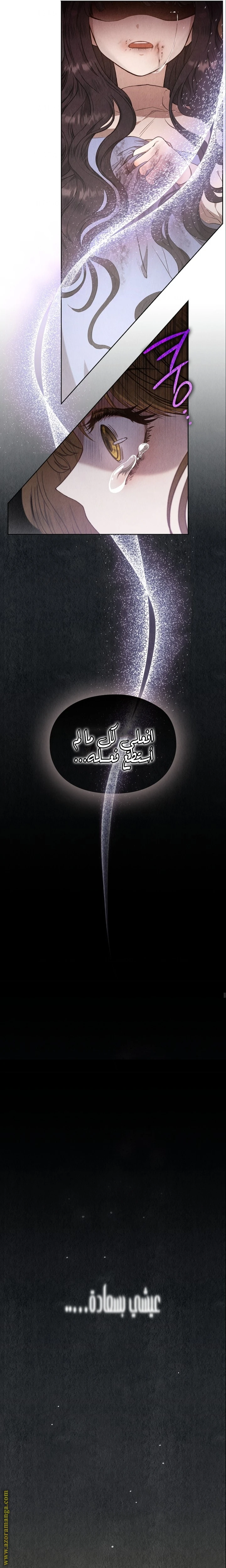 الصفحة 25