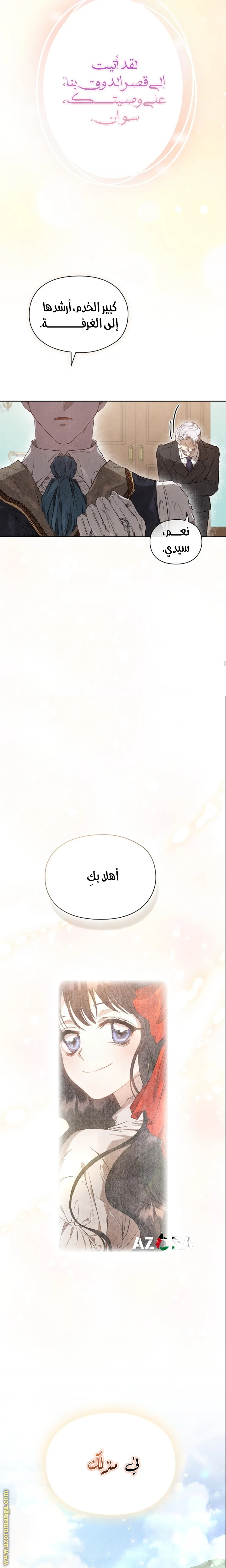 الصفحة 27