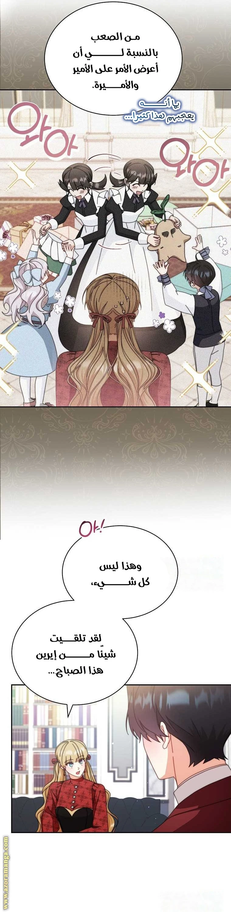 الصفحة 17