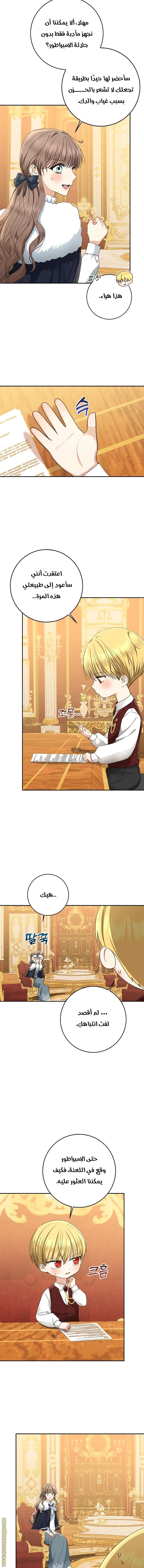 الصفحة 7