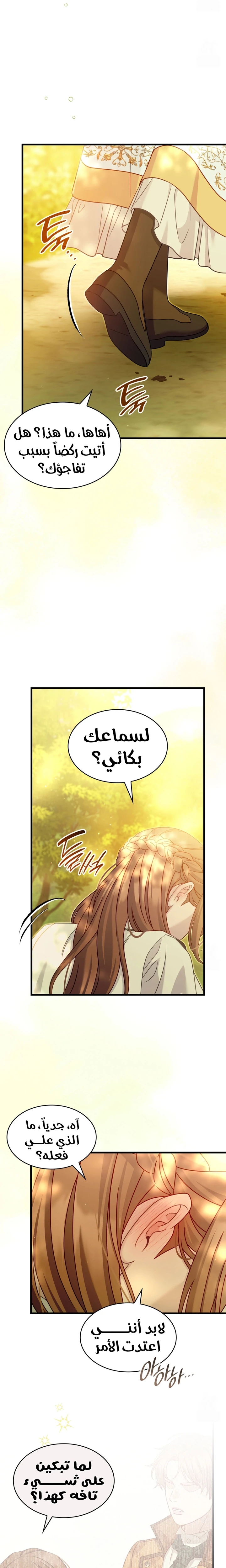 الصفحة 13
