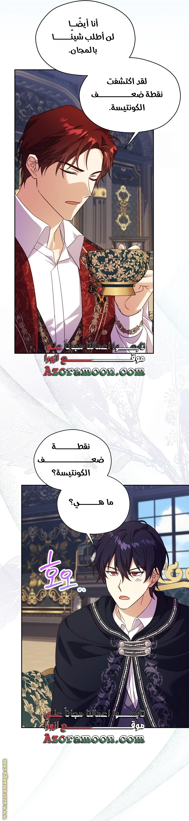 الصفحة 27