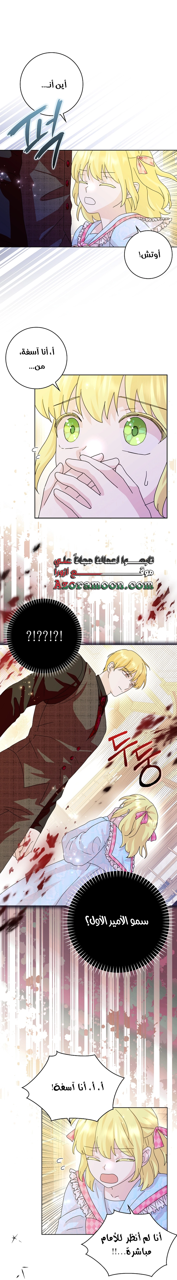 الصفحة 17