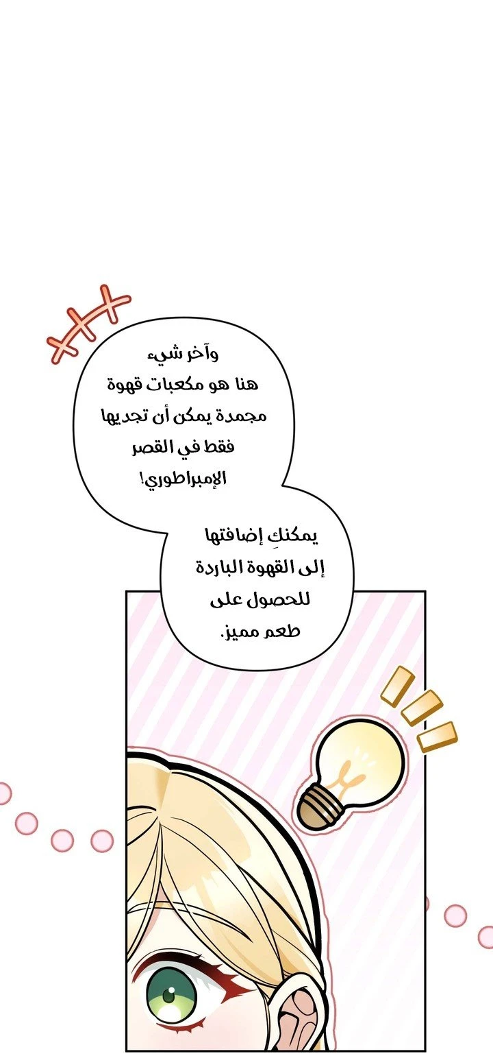 الصفحة 21