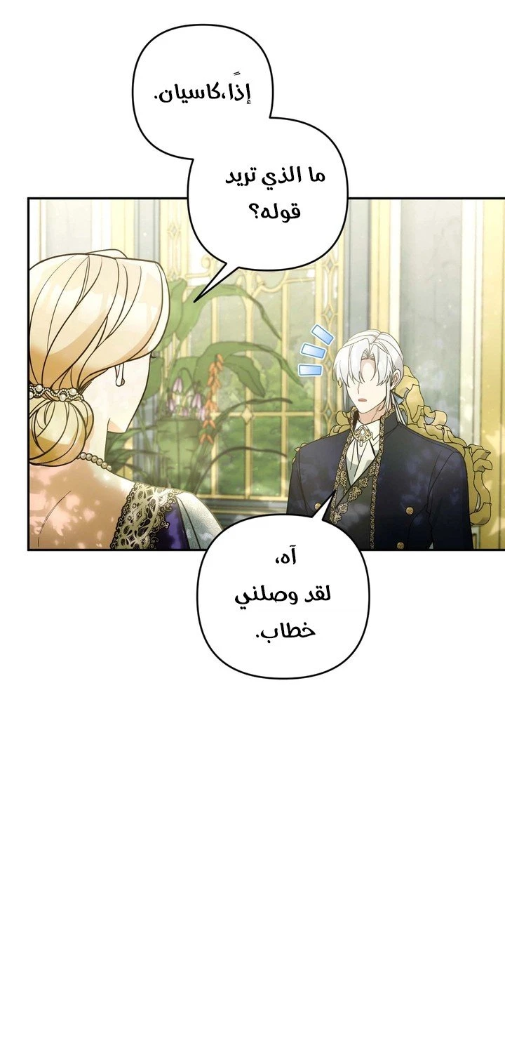 الصفحة 41