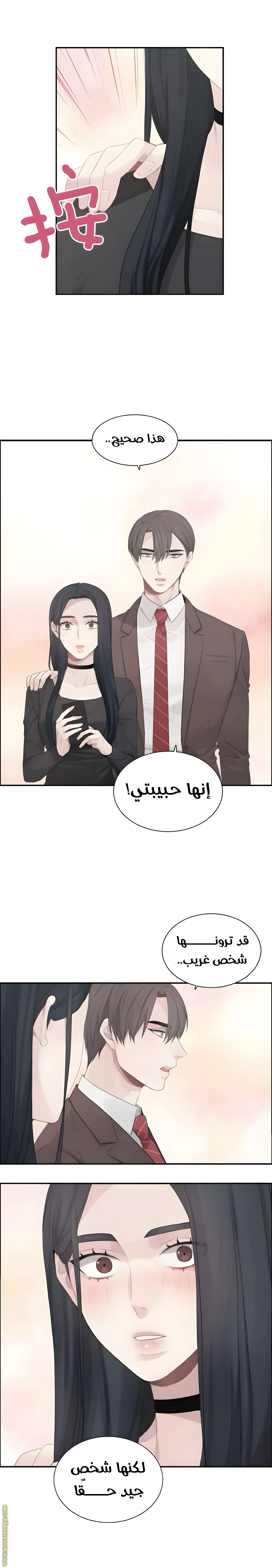 الصفحة 14