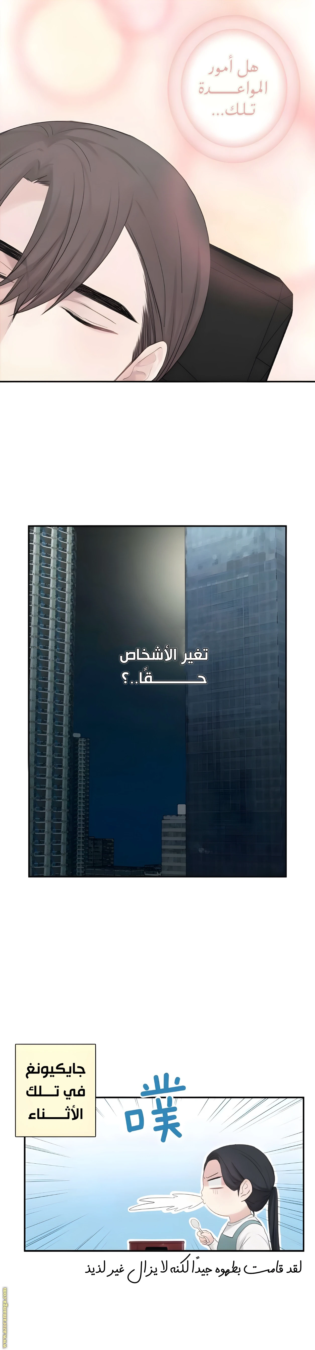 الصفحة 17