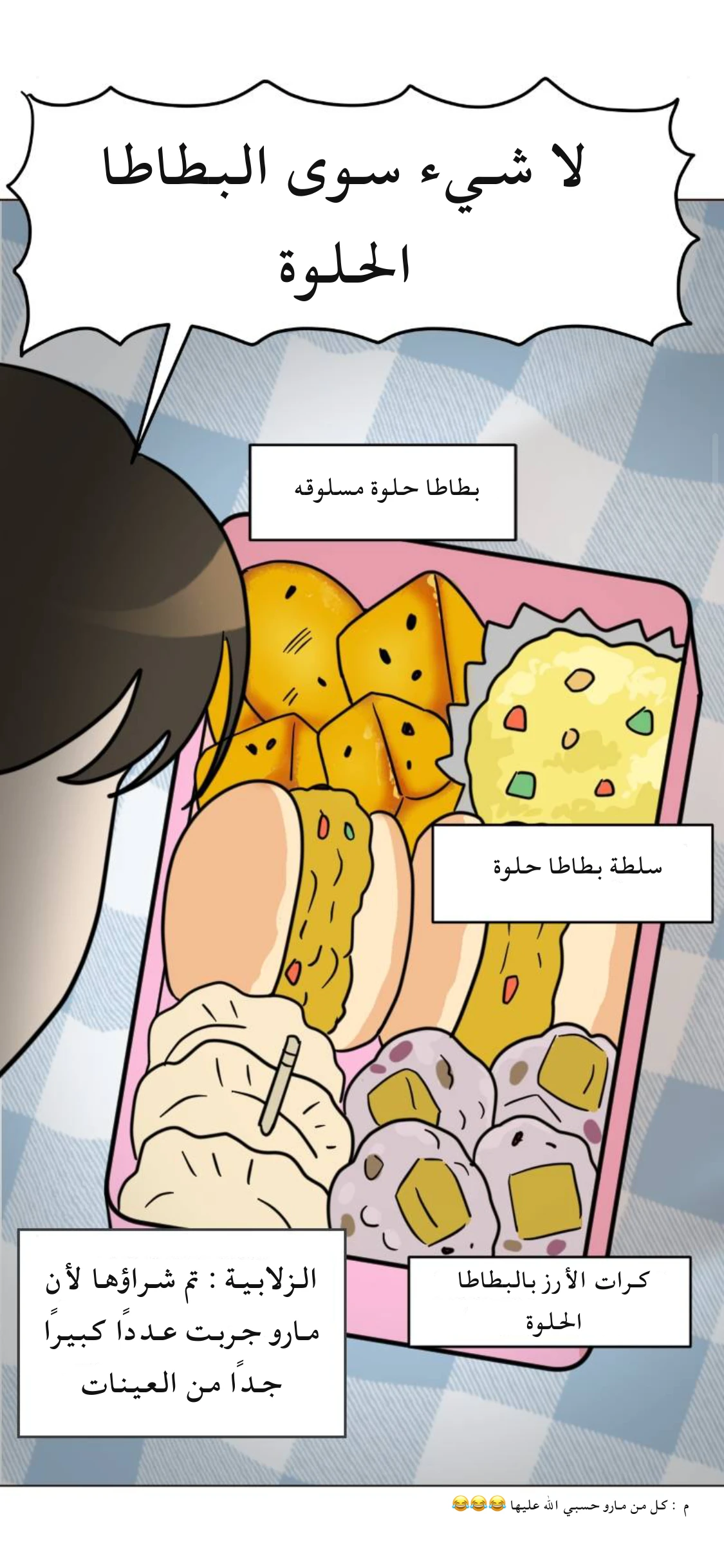 الصفحة 13