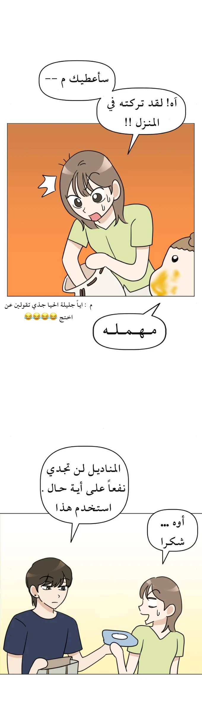 الصفحة 19