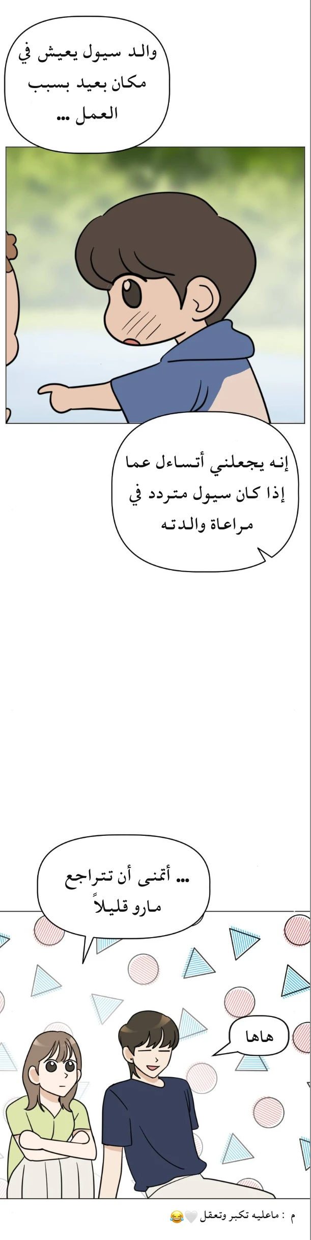 الصفحة 29