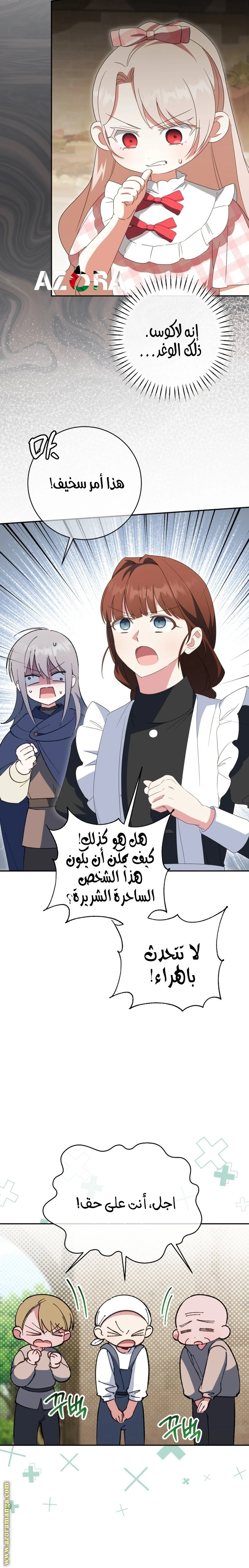 الصفحة 13
