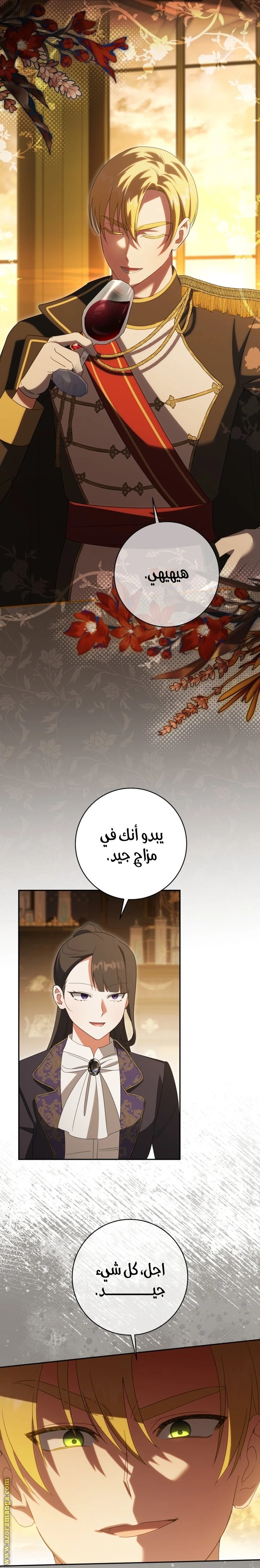 الصفحة 17