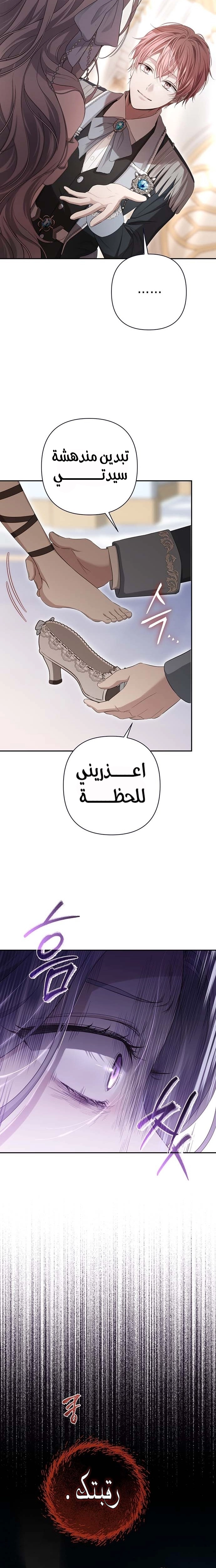 الصفحة 24