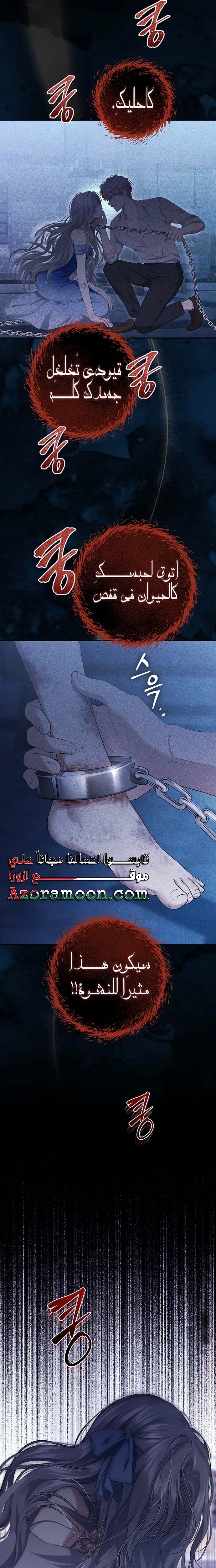 الصفحة 25