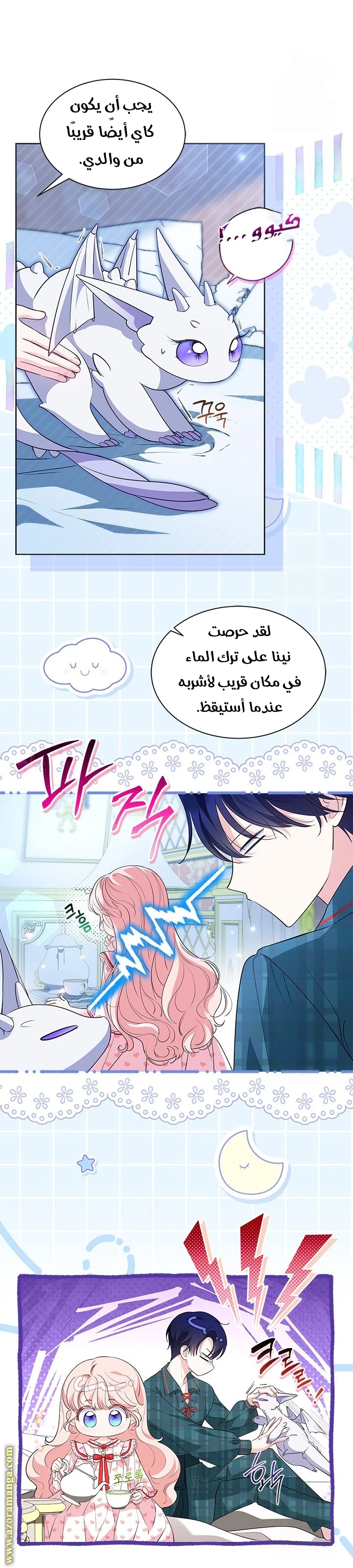 الصفحة 13