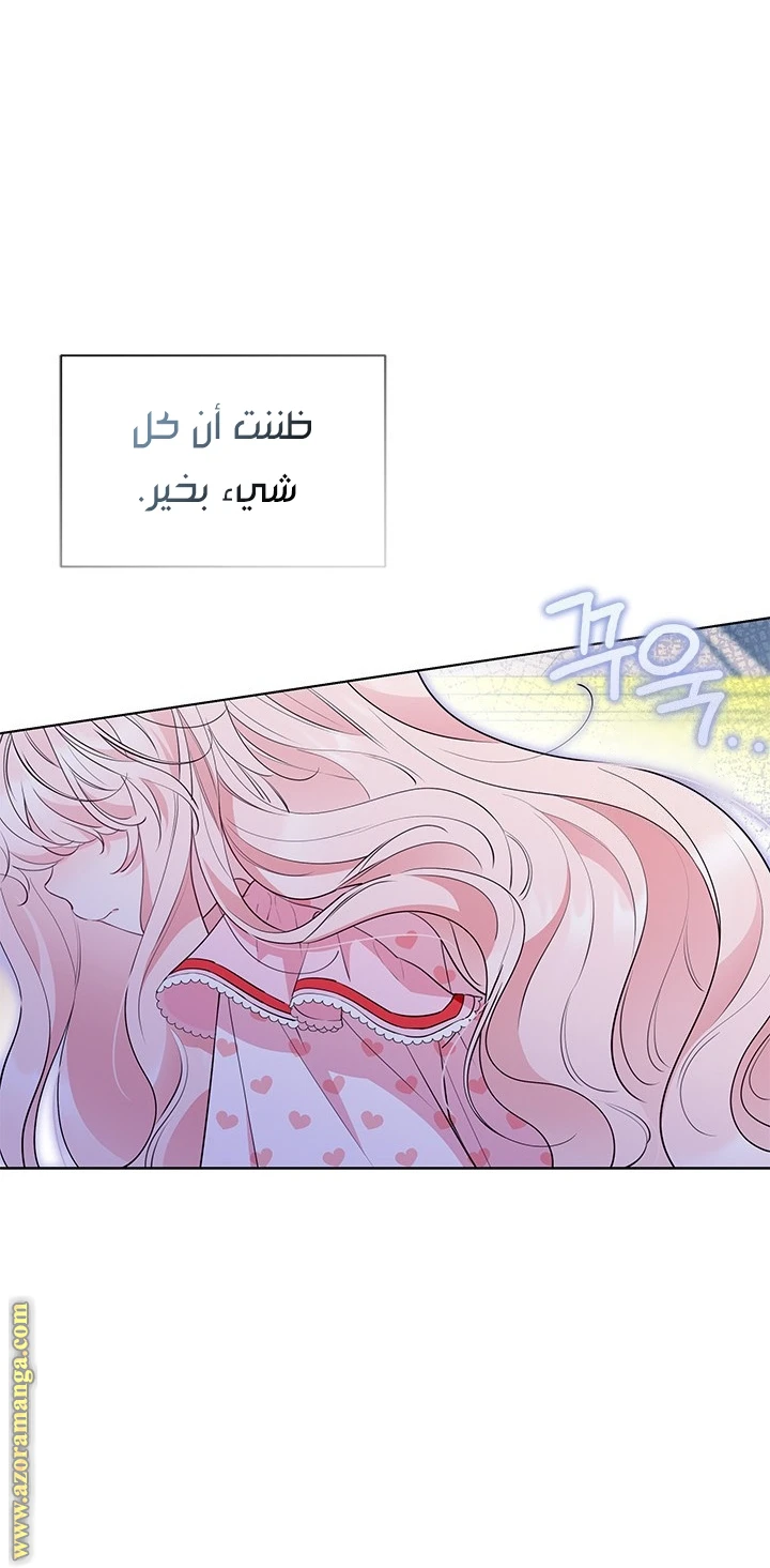 الصفحة 19