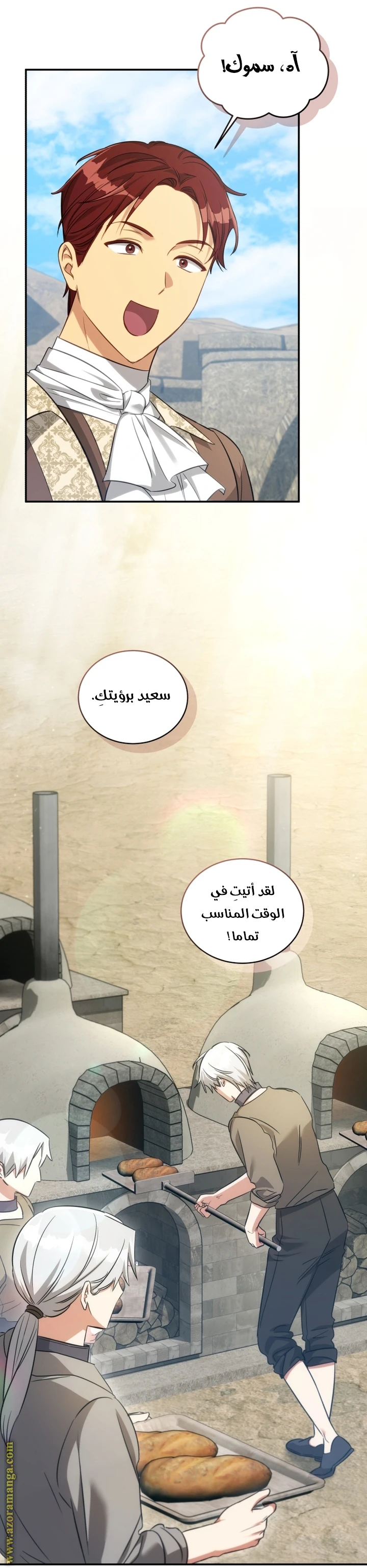 الصفحة 25
