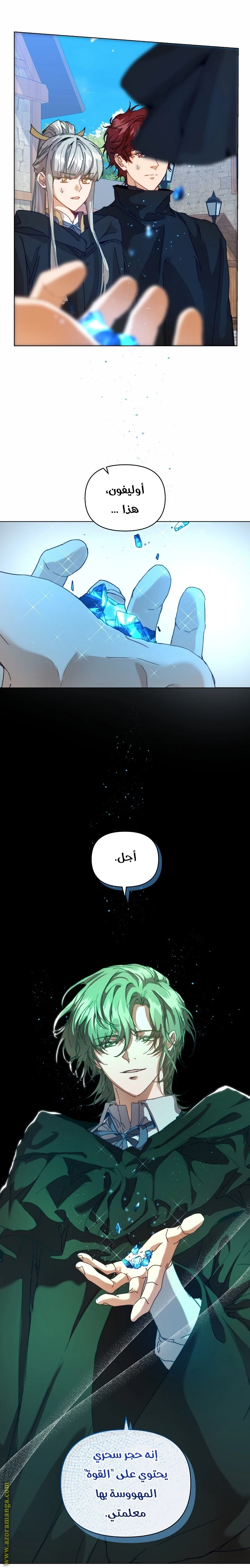 الصفحة 3