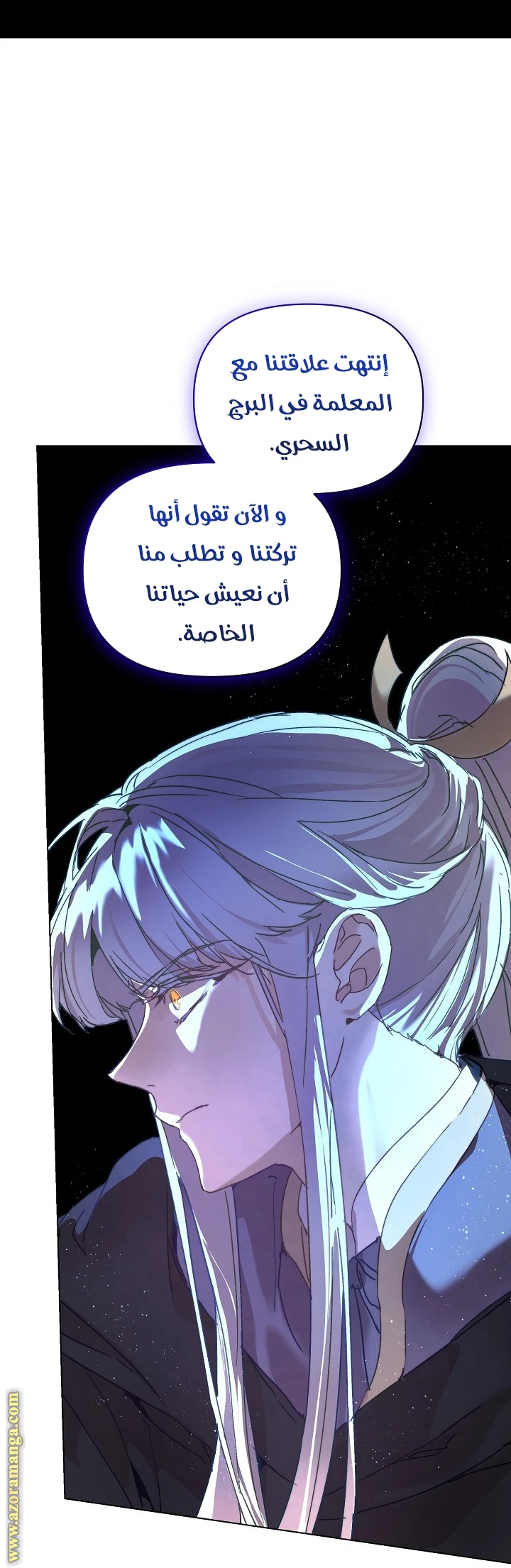 الصفحة 13