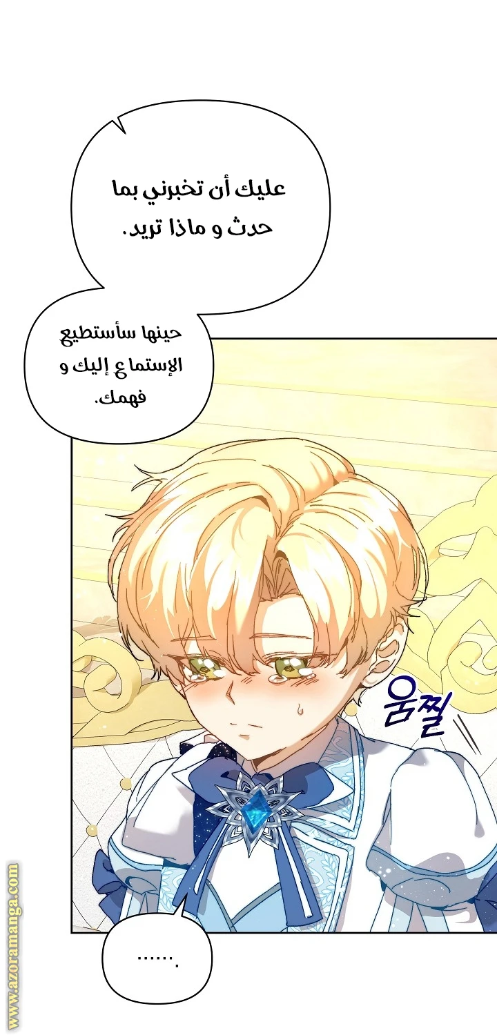 الصفحة 25