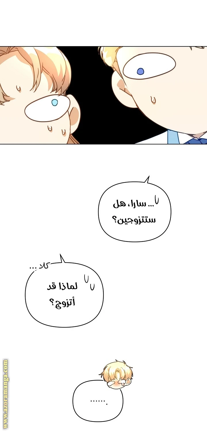 الصفحة 29