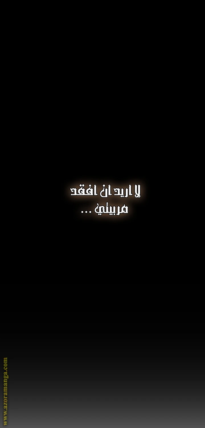 الصفحة 40
