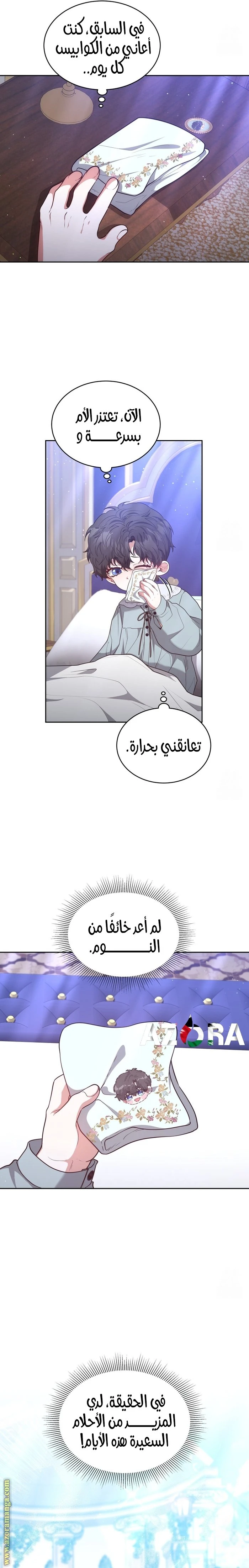 الصفحة 12