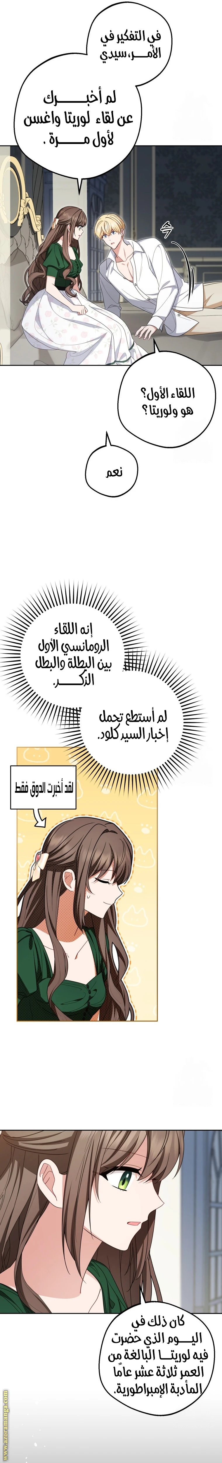 الصفحة 17
