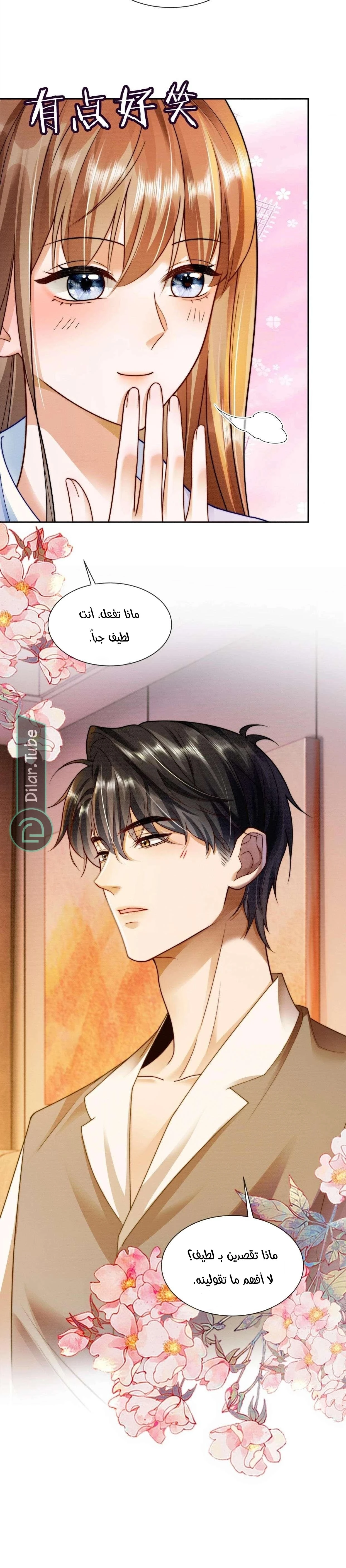 الصفحة 17
