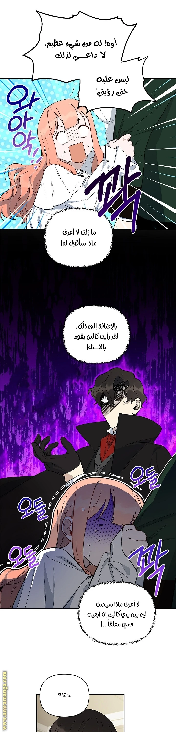 الصفحة 26