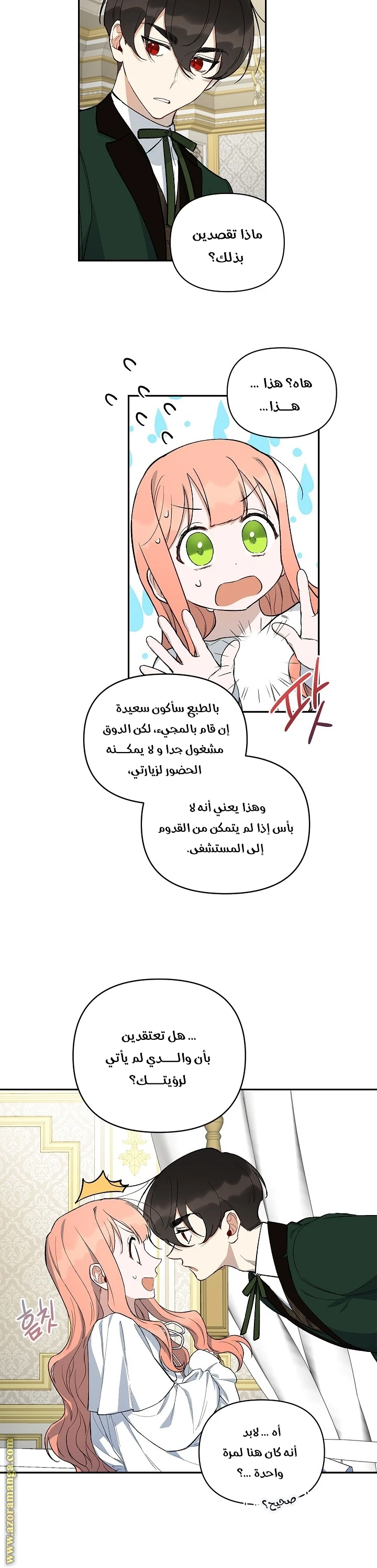 الصفحة 27