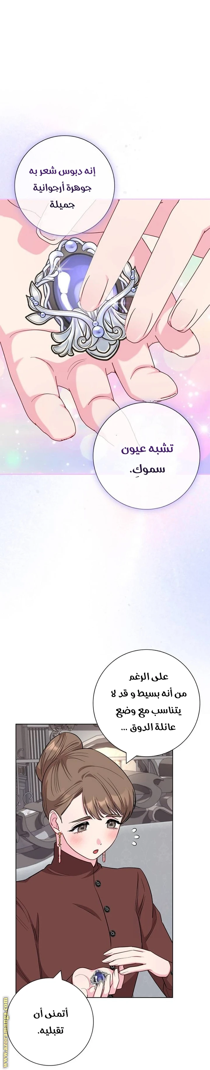 الصفحة 43