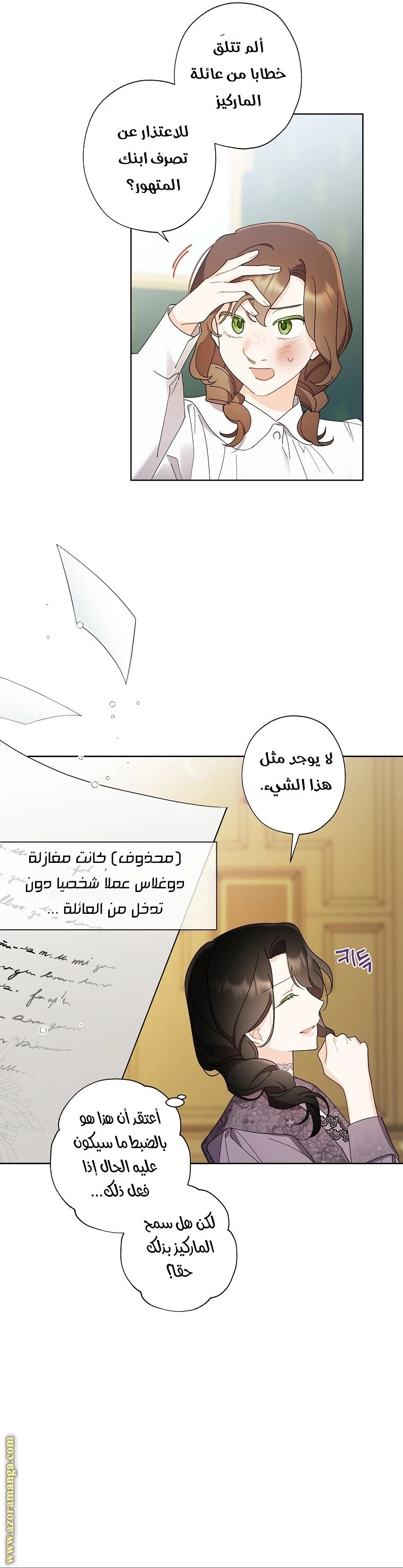الصفحة 17