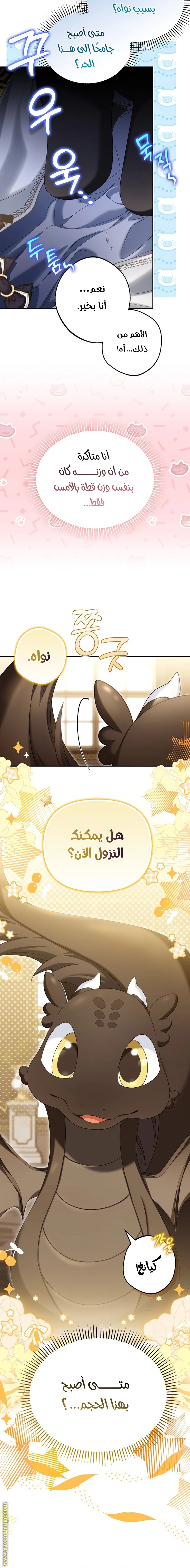 الصفحة 12