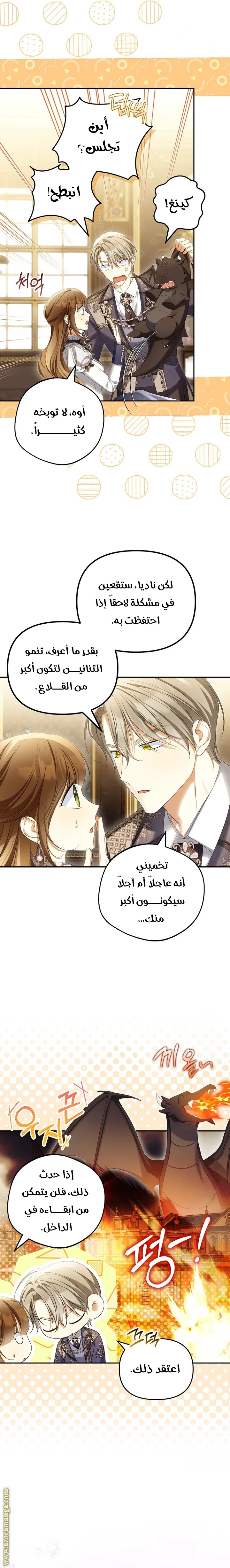 الصفحة 13