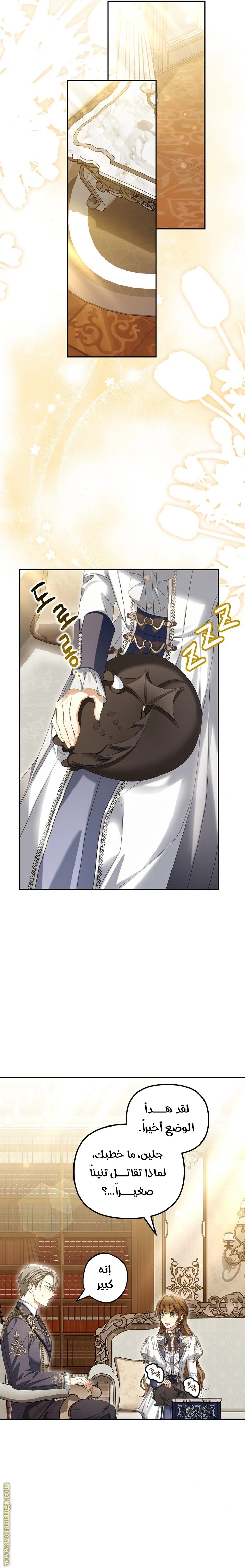 الصفحة 17