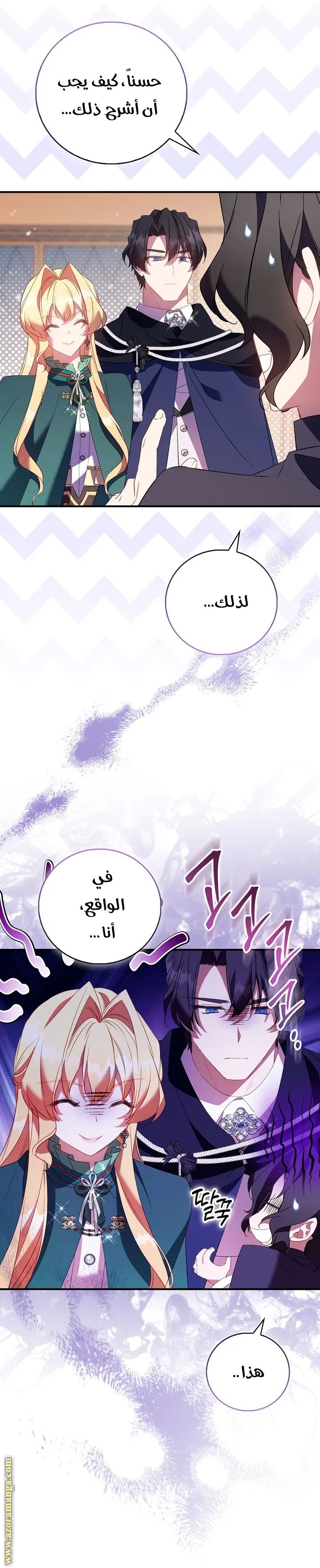 الصفحة 13