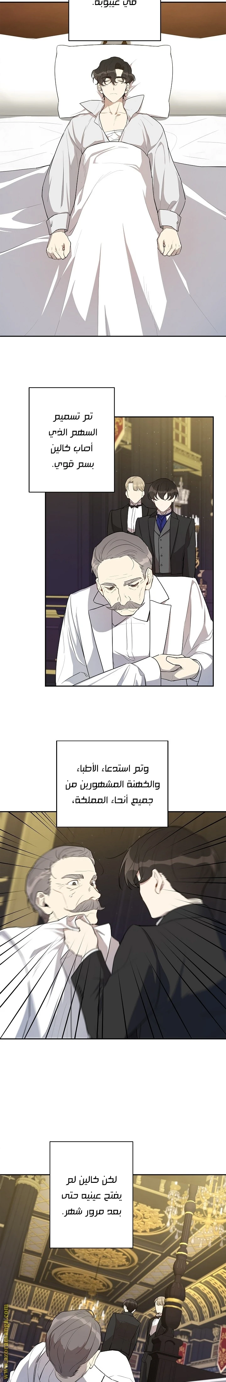 الصفحة 12