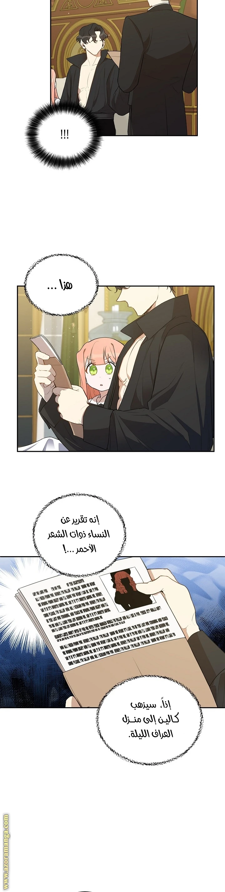 الصفحة 17
