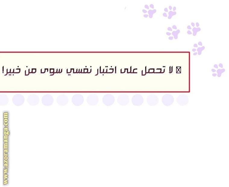 الصفحة 17
