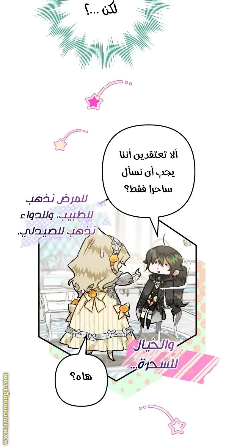 الصفحة 19