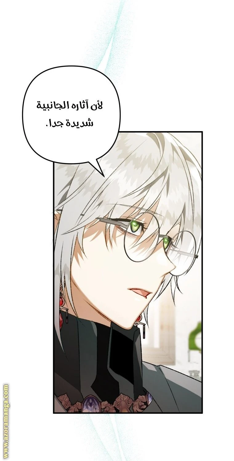 الصفحة 29
